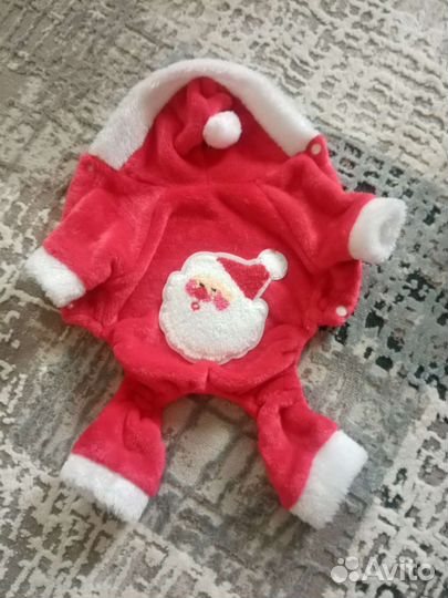 Одежда для животных