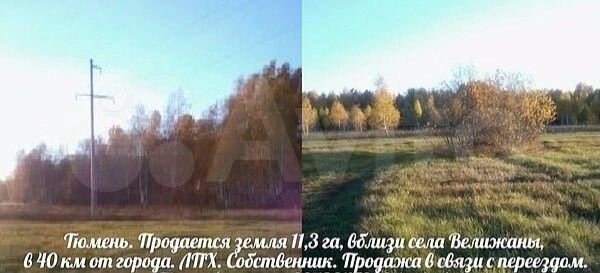 Участок 11,3 га (СНТ, ДНП)