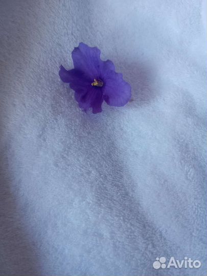 Халат велюровый Премиум белый-белый