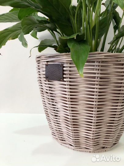 Кашпо плетеное