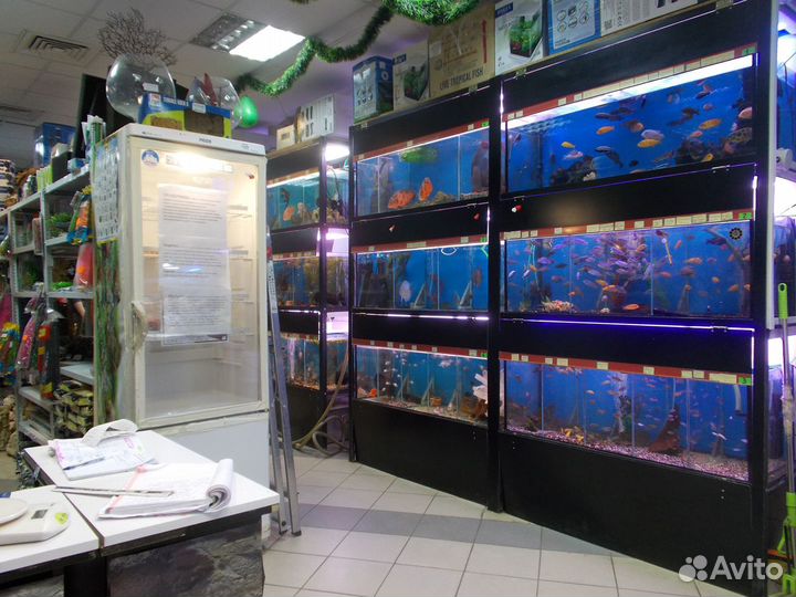 Продавец-консультант зоотоваров (аквариумистика)