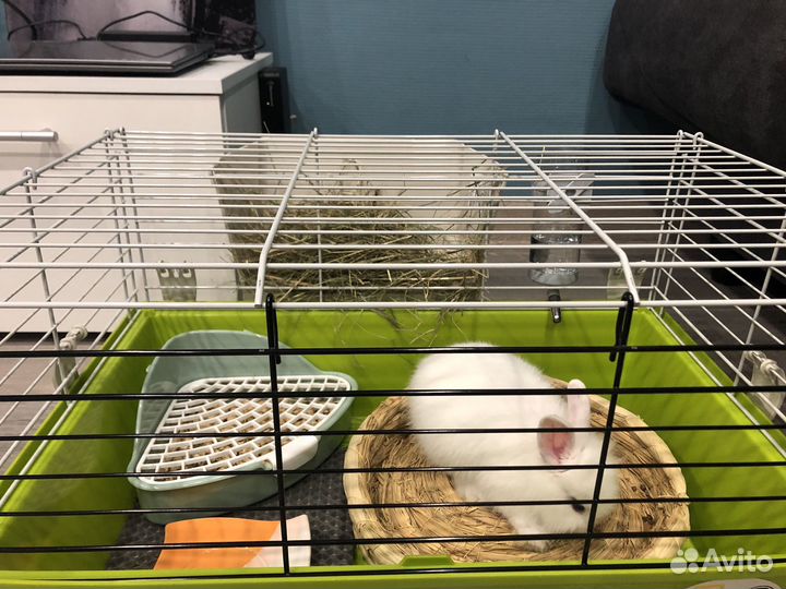 Клетка для кролика