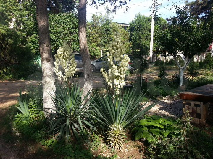 Комната 16 м² в 7-к., 2/2 эт.