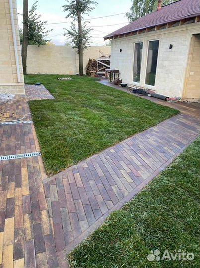 Рулонный газон