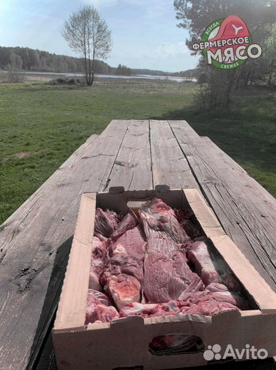 Мясо говядина