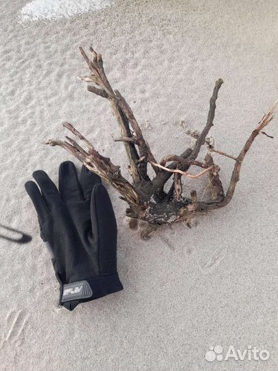 Коряга в террариум