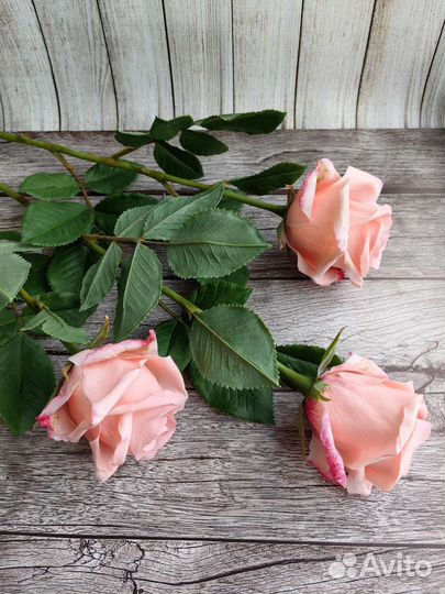 Роза из полимерной глины