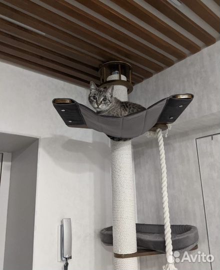 Когтеточка с упором в потолок. Домик для кошки