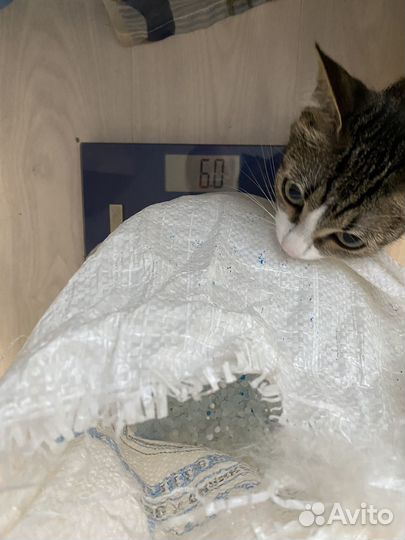 Силикагелевый наполнитель