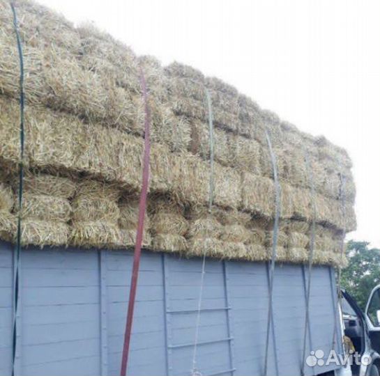 Сено,солома,люцерна