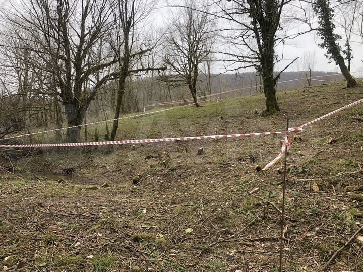 Участок 16 сот. (СНТ, ДНП)