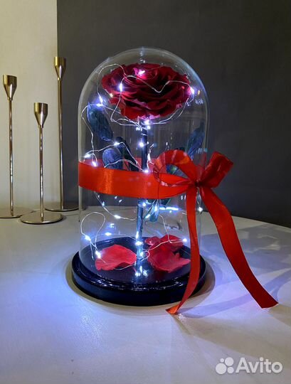 Роза в колбе