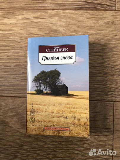Джон Стейнбек Гроздья гнева
