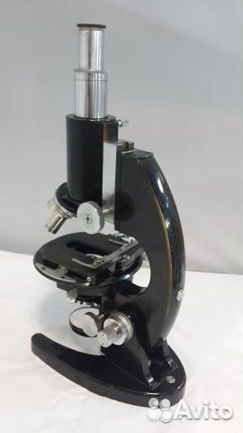 Микроскоп Сarl Zeiss jena №255999 аренда