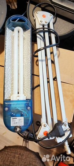 Лампа настольная Camelion