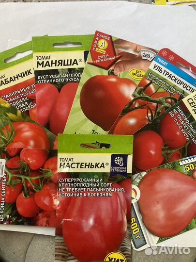 Рассада томатов, перцев, огурцов