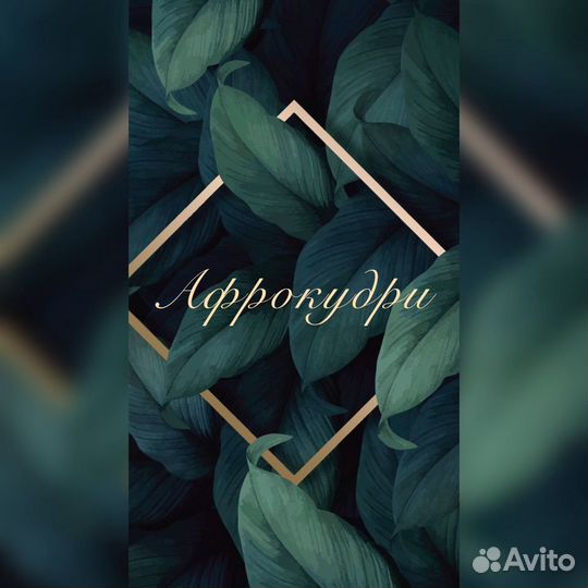 А Ф Р О К У Д Р И