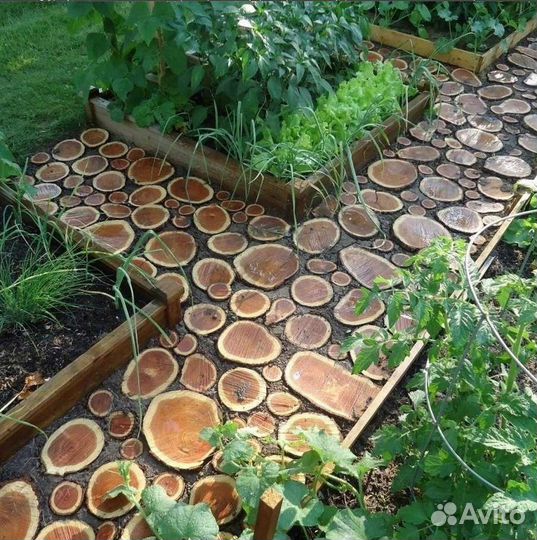 Слэб дерева и спилы для мощения дорожек