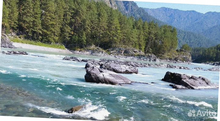 Тур поездка Алтай летний программа 4-7 дней