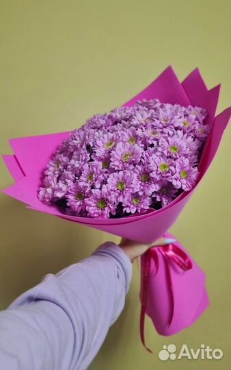 25 кустовых хризантем