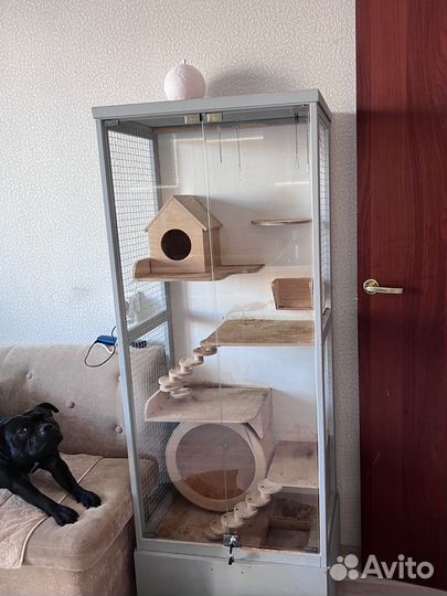Клетка для шиншиллы (витрина)