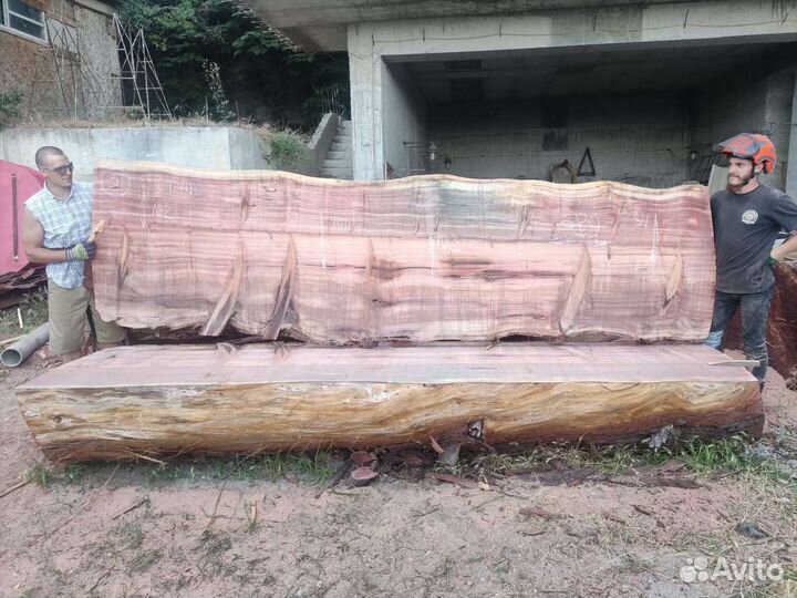 Слэб секвойя