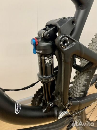 Focus Jam 2020 new (L)