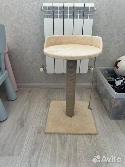 Когтеточка для кошки