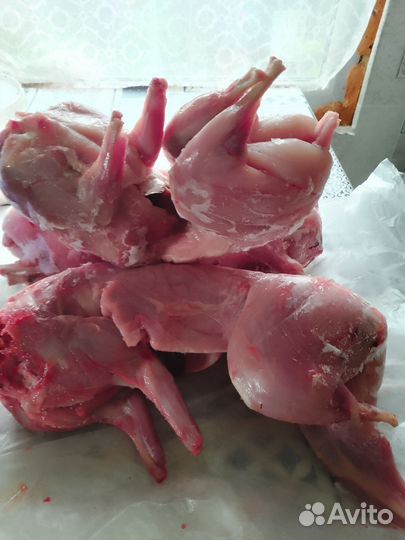 Мясо кролика