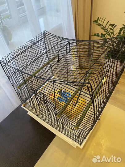 Клетка для попугая