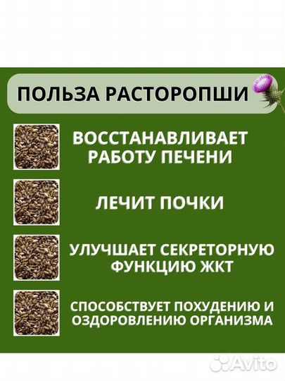 Семена Расторопши 2024 для маслоделов