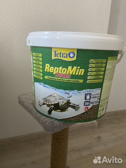 Корм для черепах
