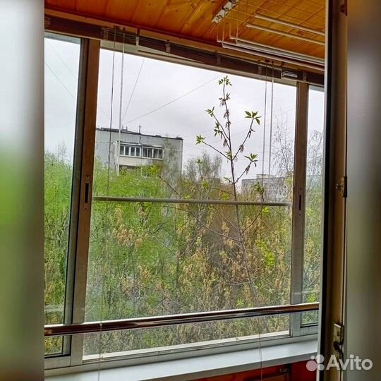 Москитная сетка за 1 день