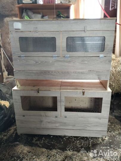 Брудер для суточных цыплят и подростков