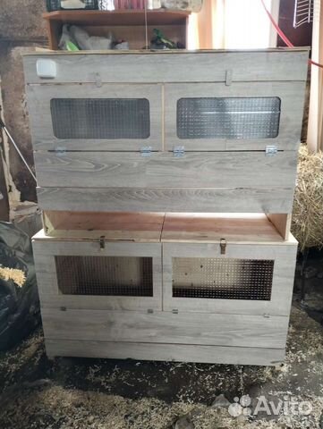 Брудер для суточных цыплят и подростков