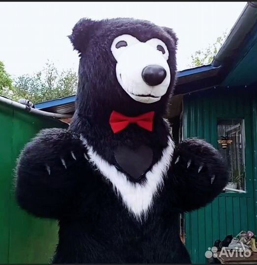 Экспресс поздравление Мишка