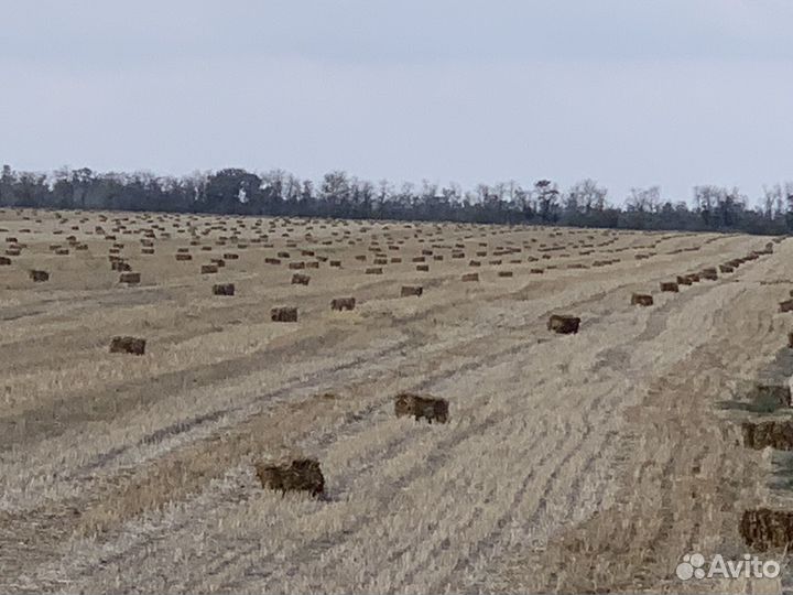 Салома в тюках