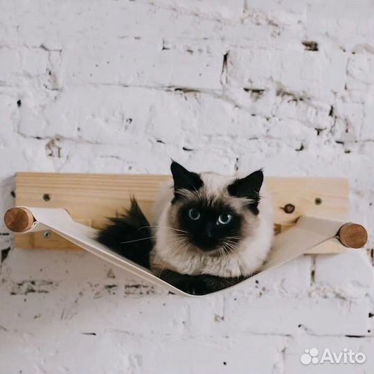 Настенный комплекс для кошек