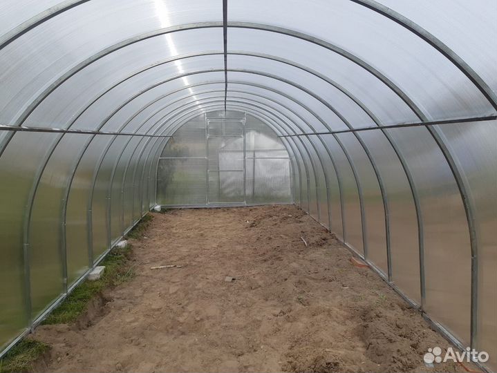 Теплица купить