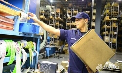 Cборщик/cборщица с ежедневной оплатой