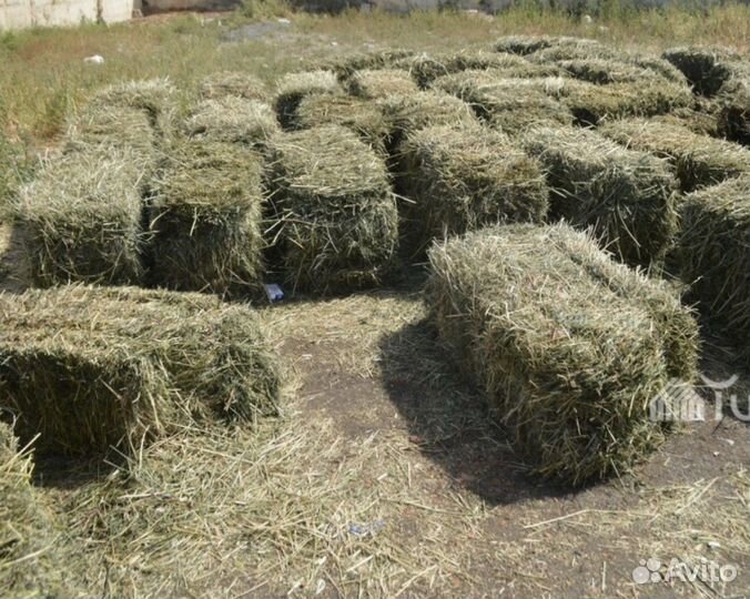 Сено в брикетах