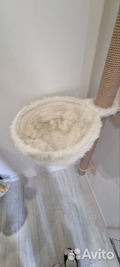 Когтеточка настенная для кошек