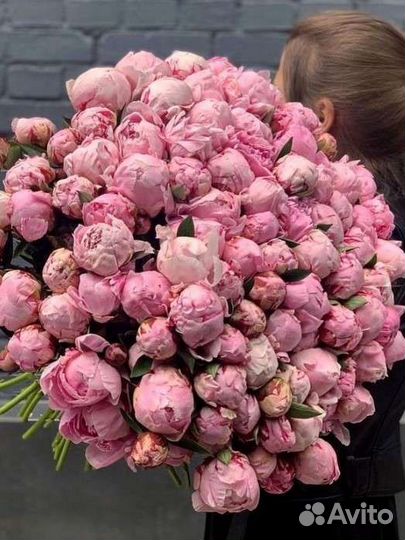 Живые цветы букеты пионы,букет цветов,доставка