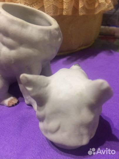 Самоед на реставрацию