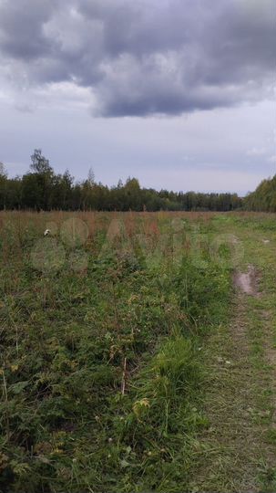 Участок 12 га (ИЖС)