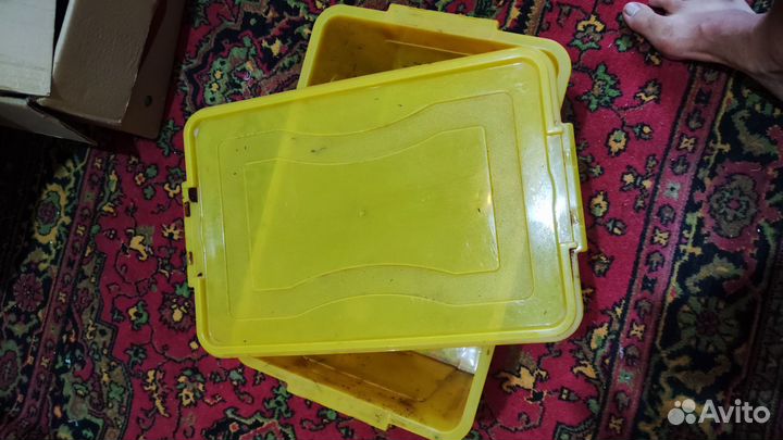 Контейнер 47/31/24