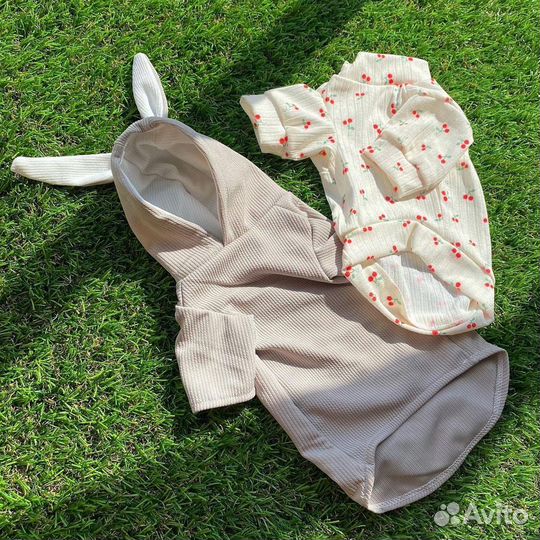 Одежда для собак мелких и средних пород