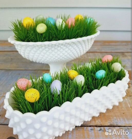 Микрозелень пшеницы