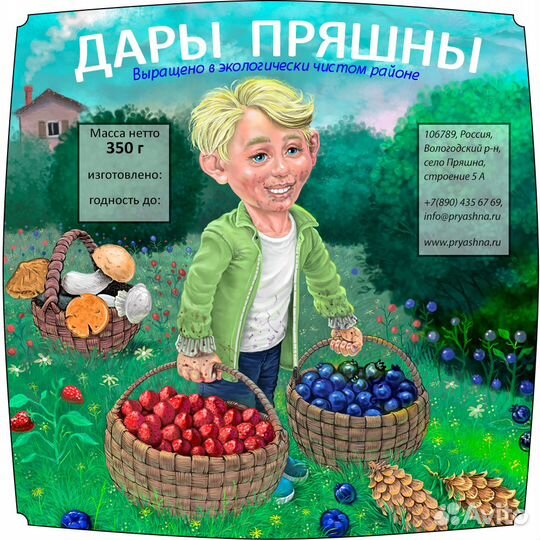 Художник. Цифровой рисунок, этикетки, ретушь