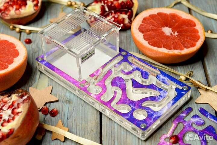 Муравьиная ферма / Формикарий